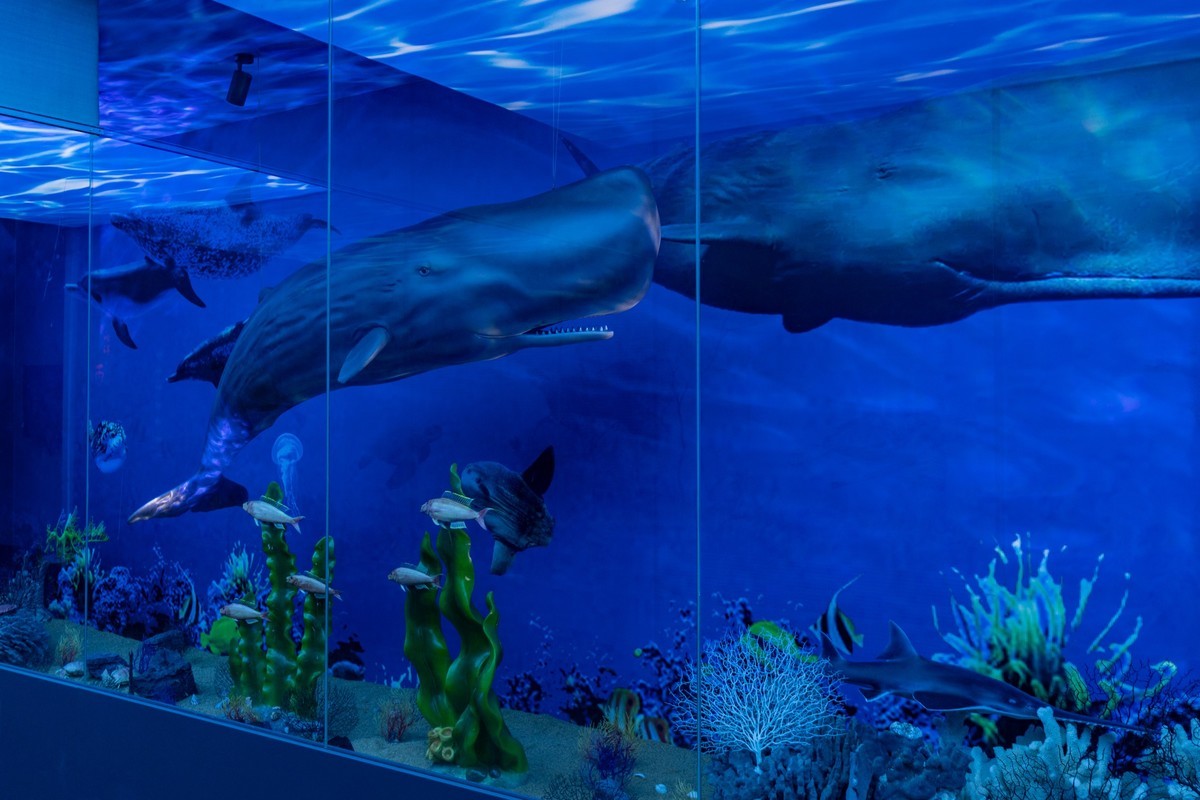 广东中药博物馆（15）