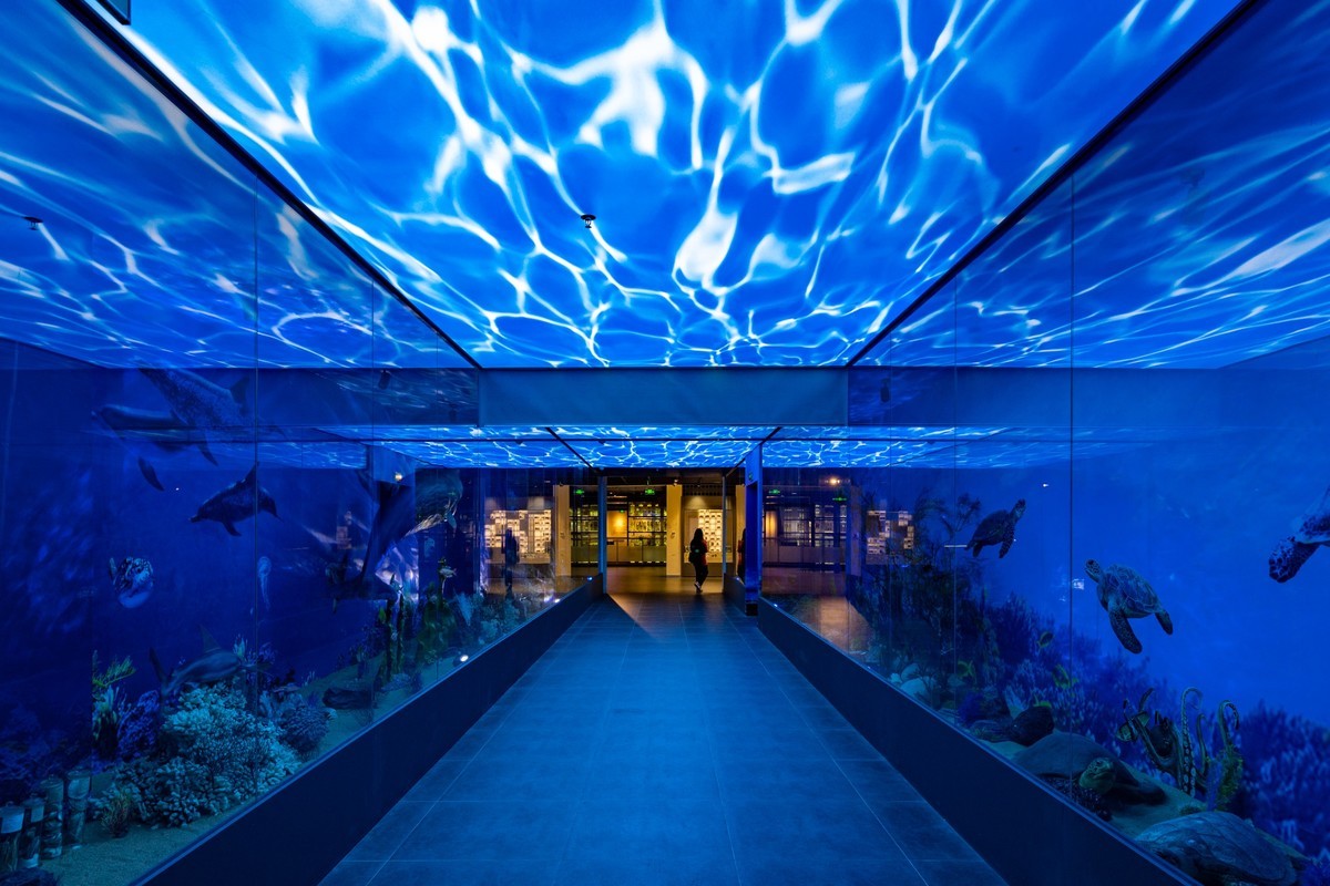 广东中药博物馆（15）