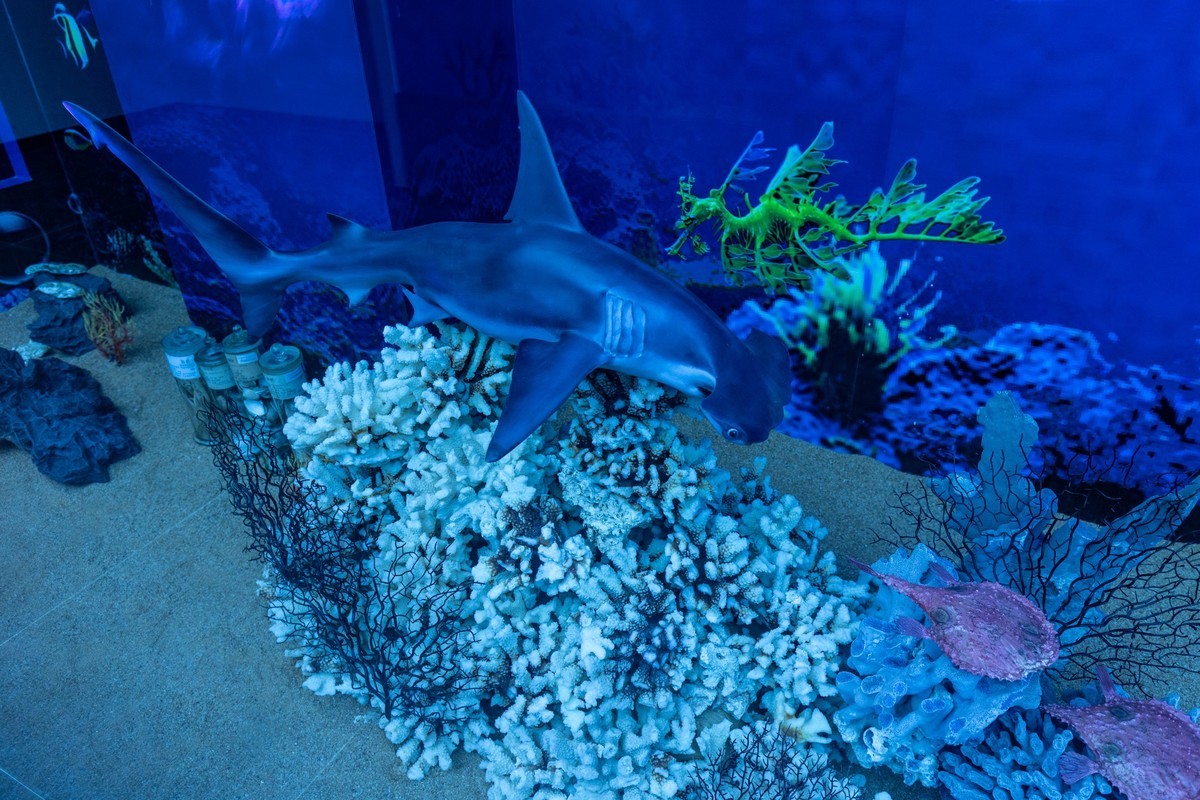 广东中药博物馆（15）