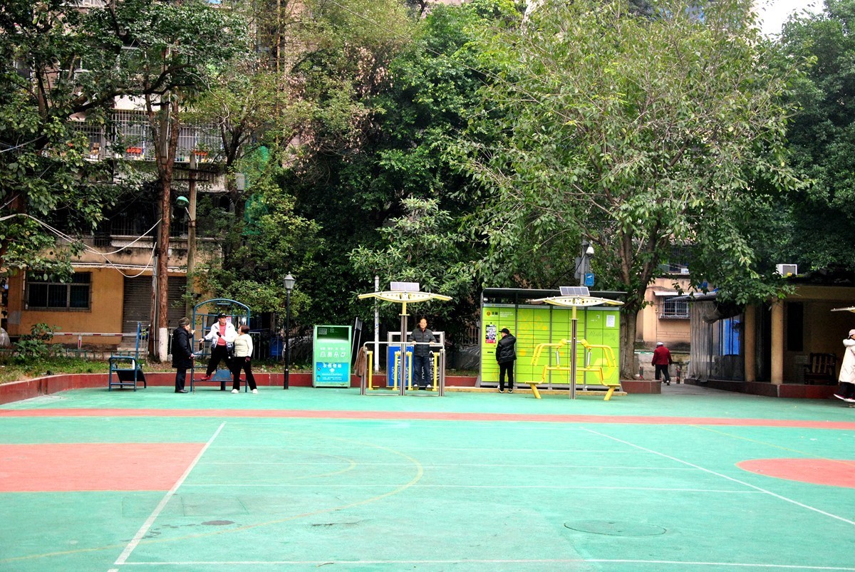 南湖公园冬景(一)