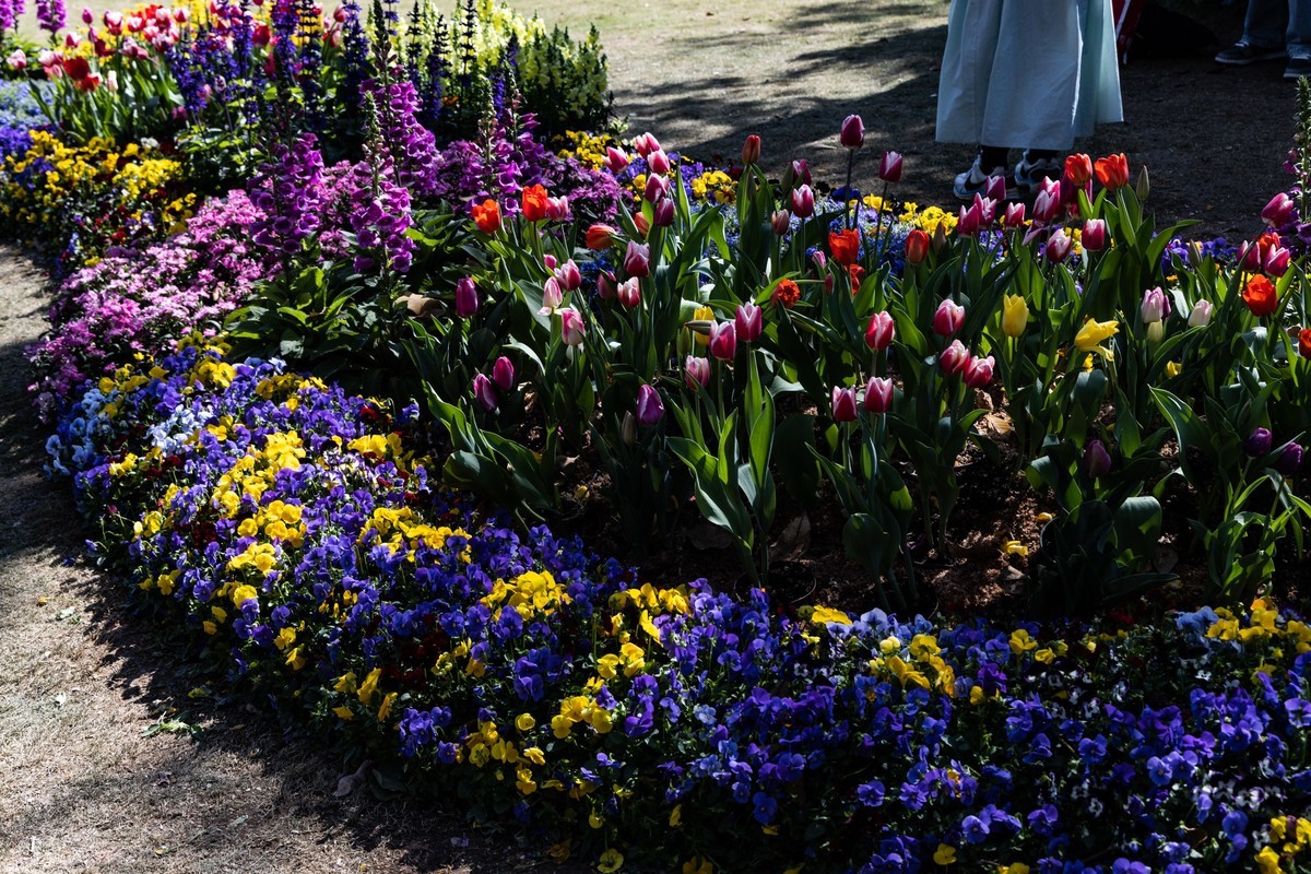 广 州云台（7）涉政重发