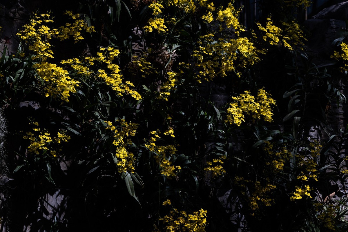 广 州云台（7）涉政重发