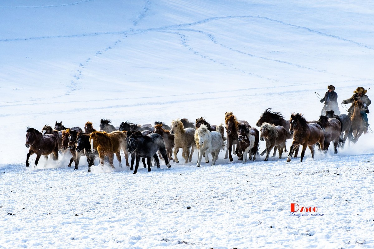 策马奔腾（72）