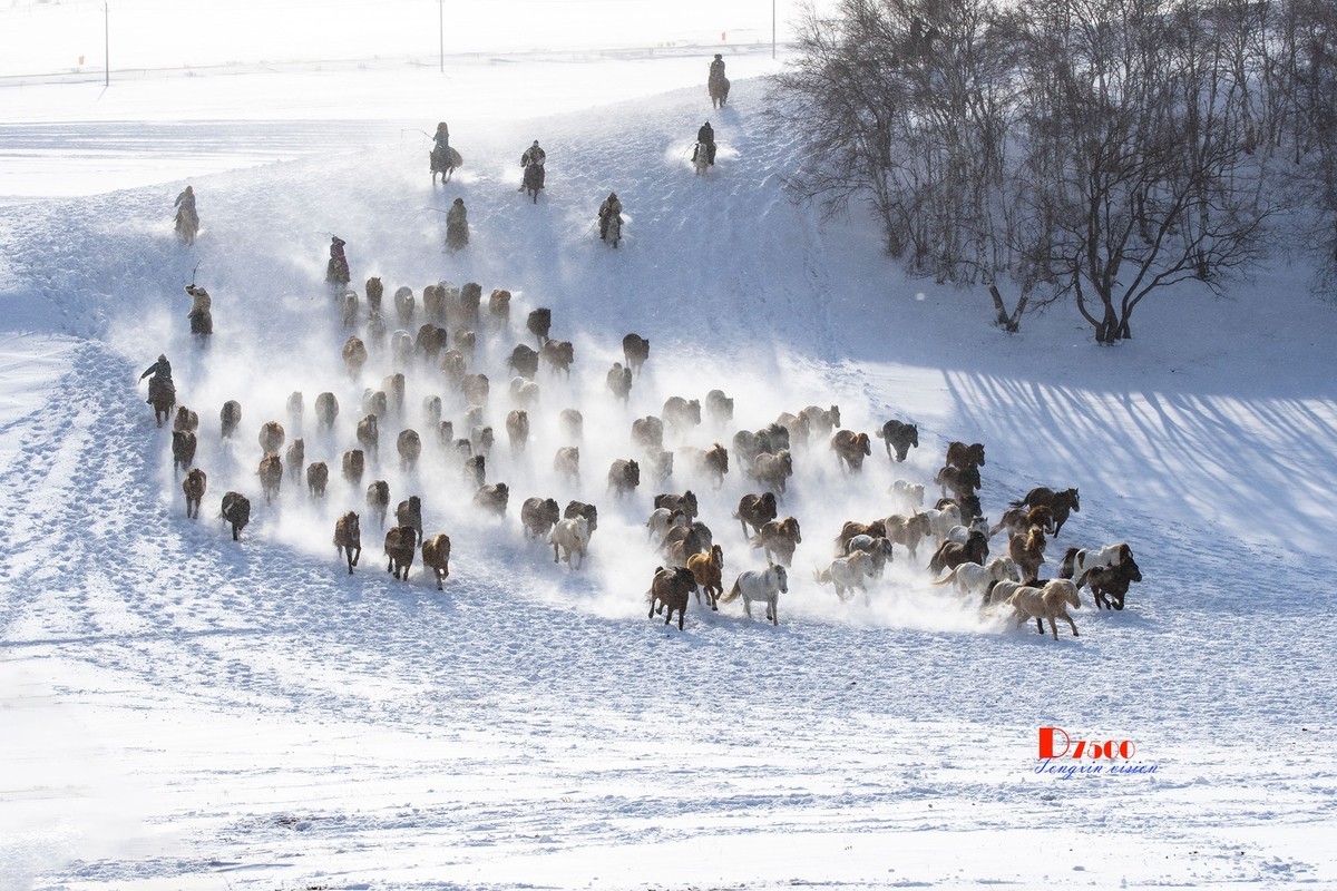 策马奔腾（72）