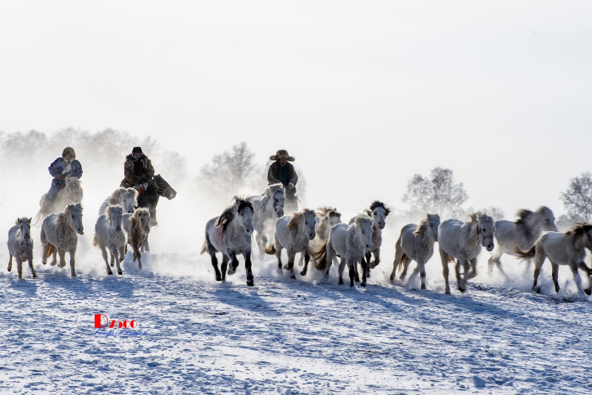 策马奔腾（72）