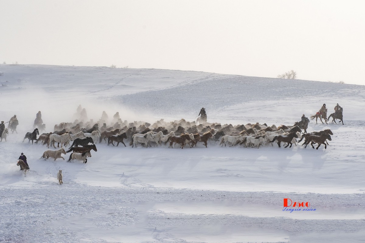 策马奔腾（72）