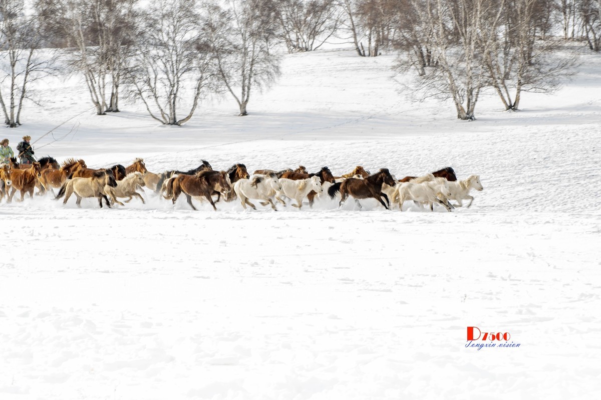 策马奔腾（72）