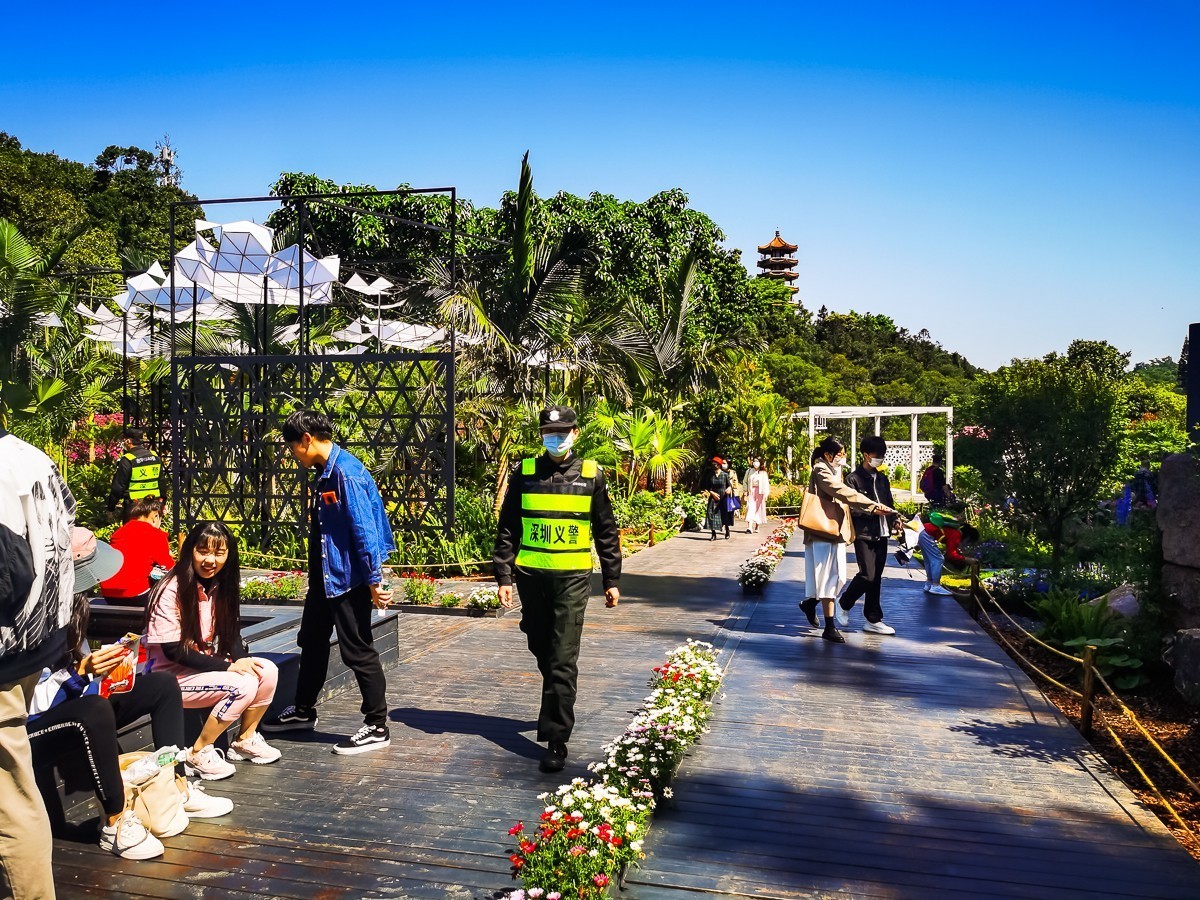 深圳仙湖植物园掠影