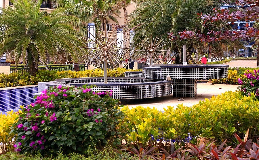 《不老松：忆海南游记》长島兰湾（02）环境优美，外有海景，内似花园。真是休闲养老之