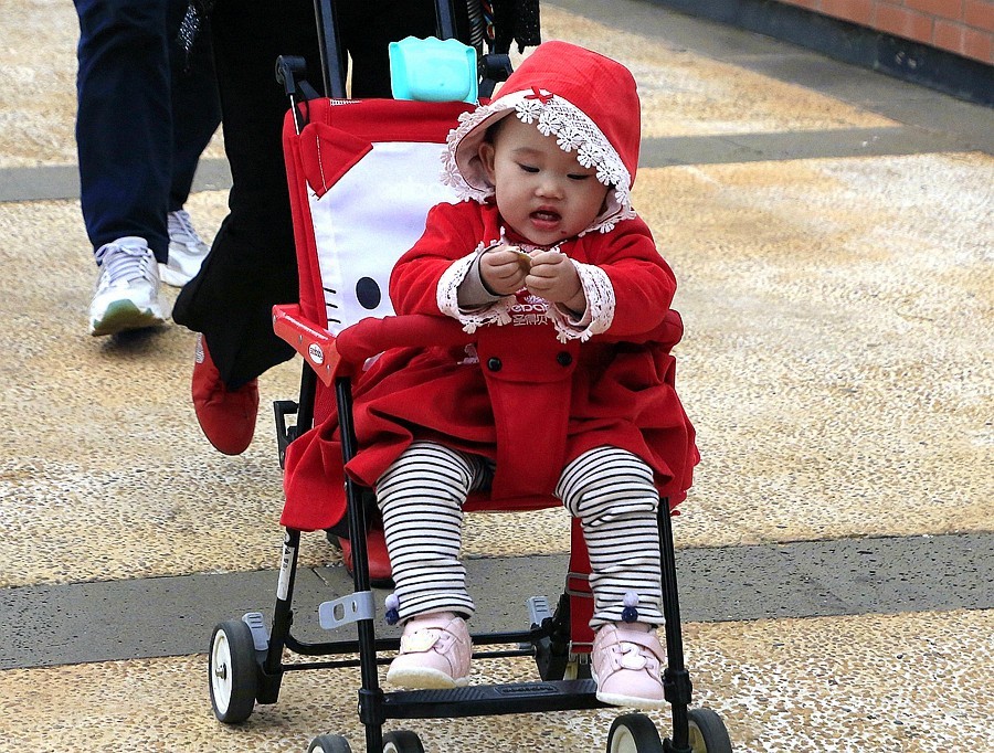 《不老松：忆海南游记》长島兰湾（02）环境优美，外有海景，内似花园。真是休闲养老之