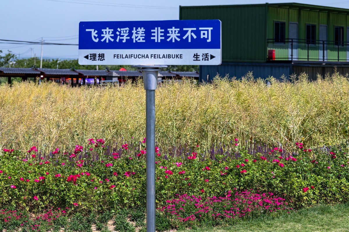 庐州印象(459)浮槎山