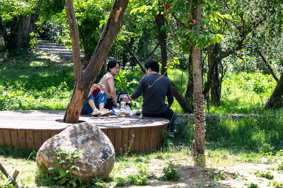 庐州印象(459)浮槎山