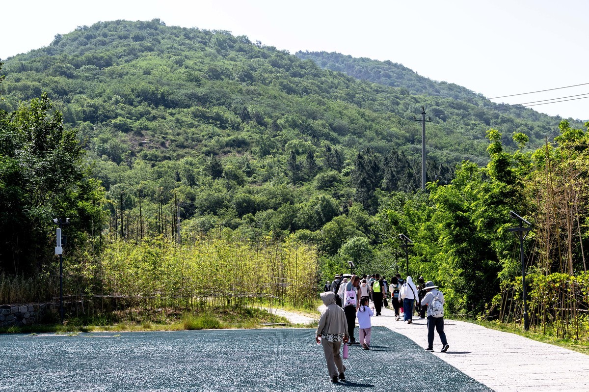 庐州印象(459)浮槎山