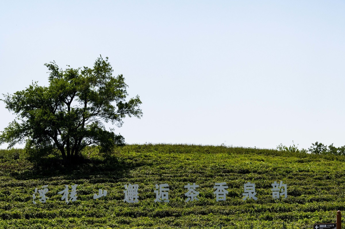 庐州印象(459)浮槎山