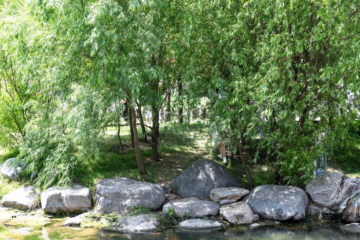 庐州印象(459)浮槎山