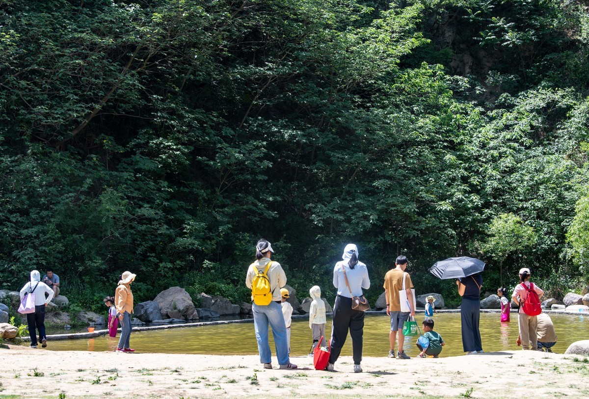 庐州印象(459)浮槎山