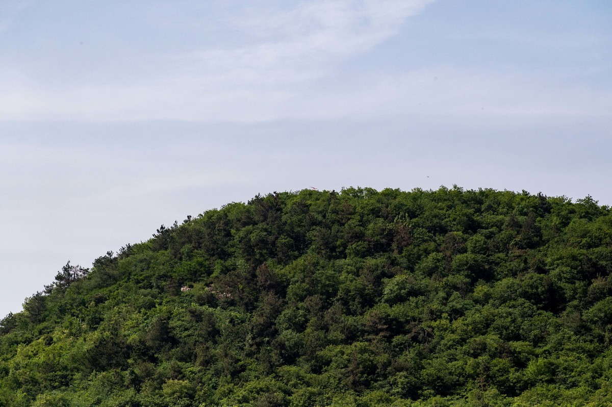 庐州印象(459)浮槎山