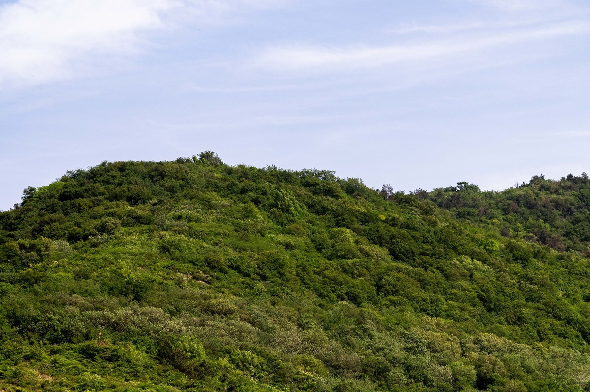庐州印象(459)浮槎山