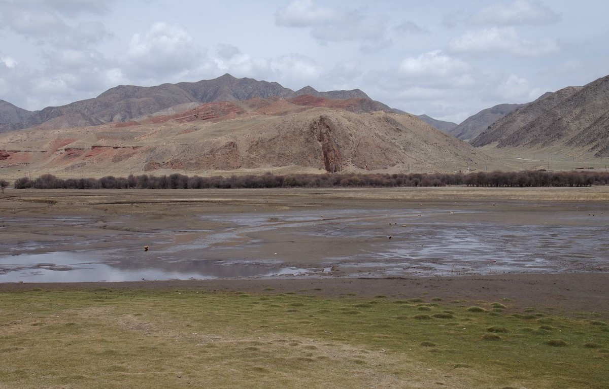 甘南--桑科湿地掠影