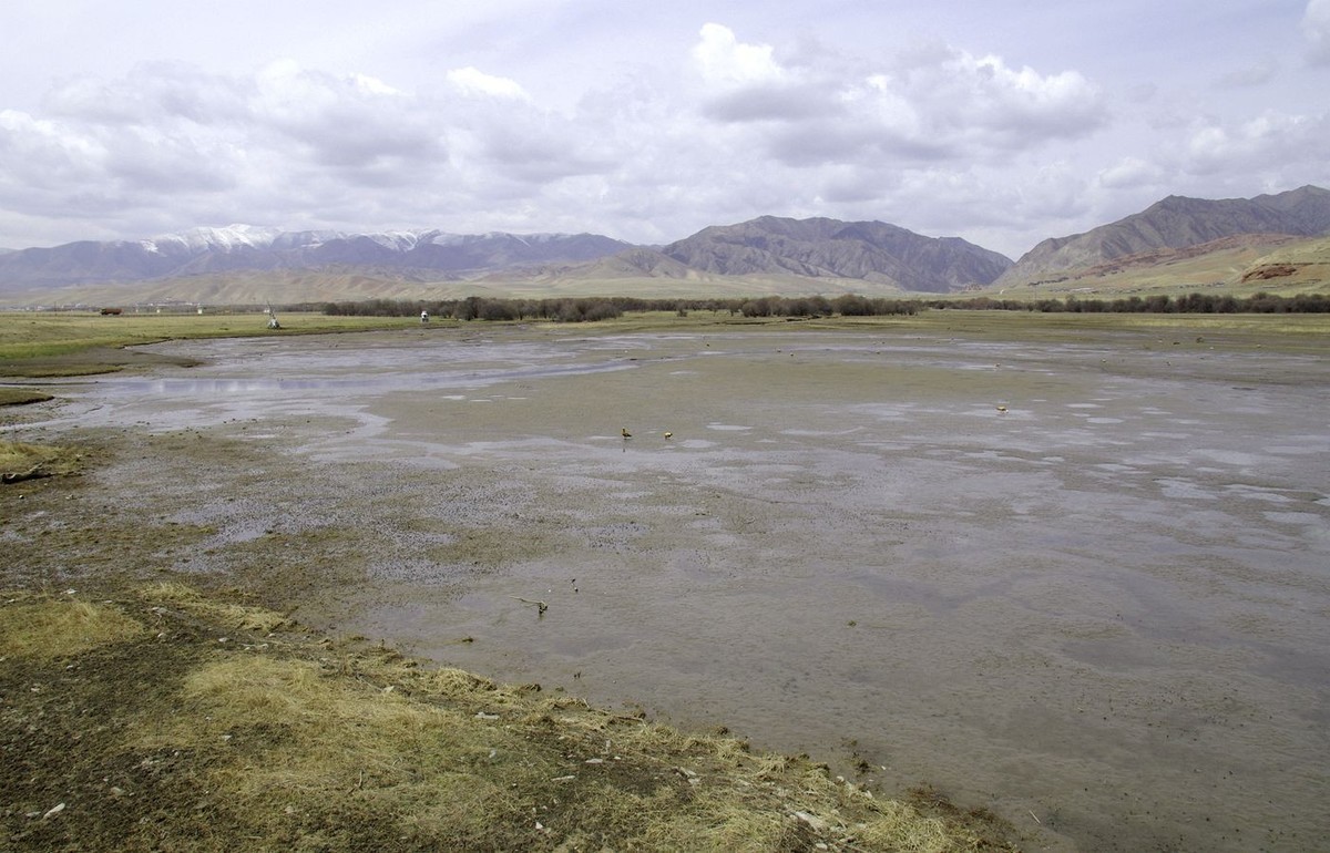 甘南--桑科湿地掠影