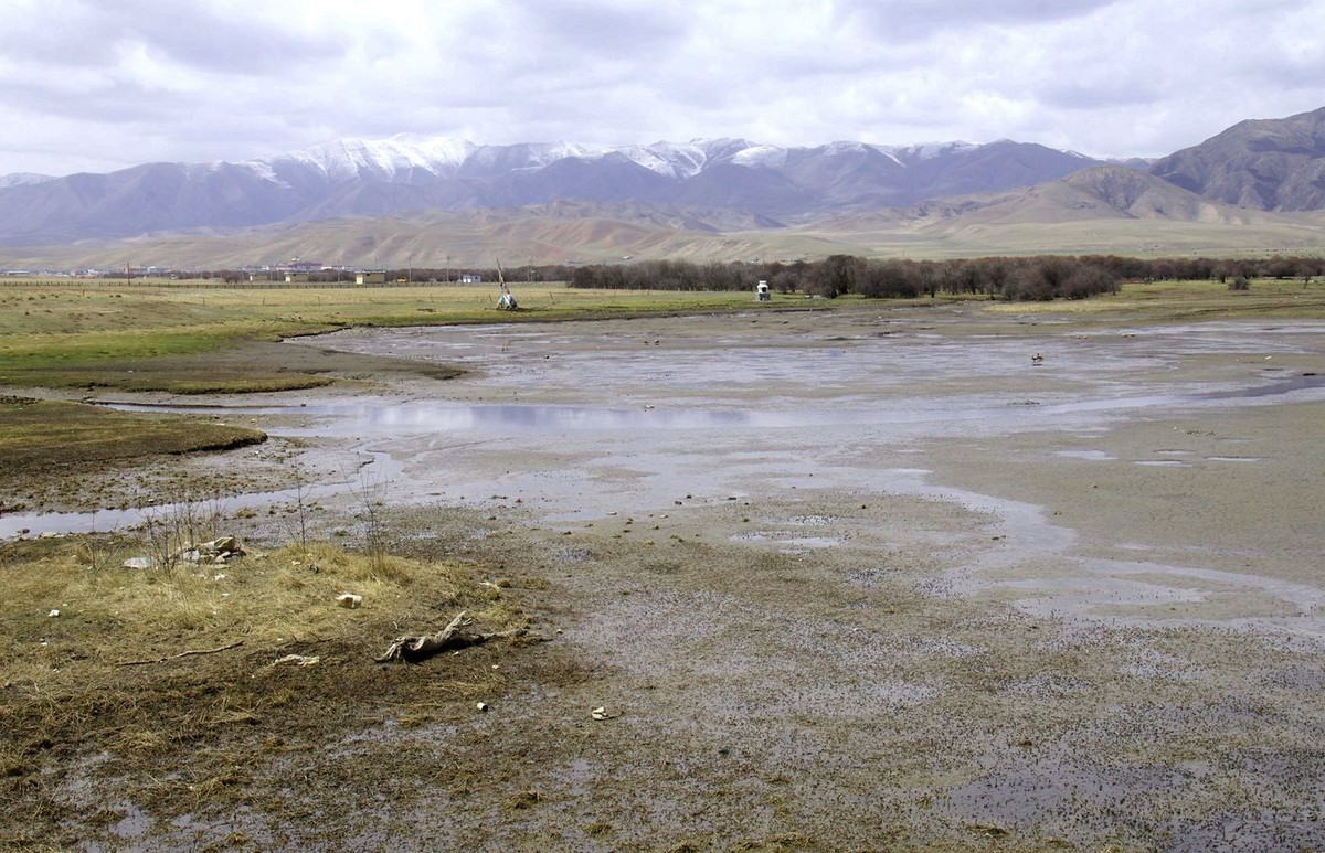 甘南--桑科湿地掠影