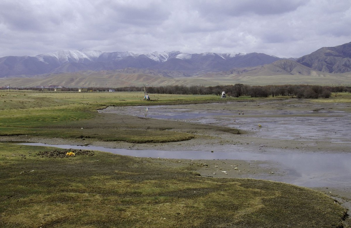甘南--桑科湿地掠影