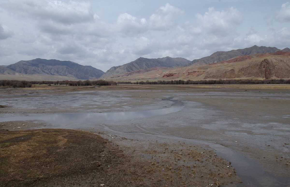 甘南--桑科湿地掠影