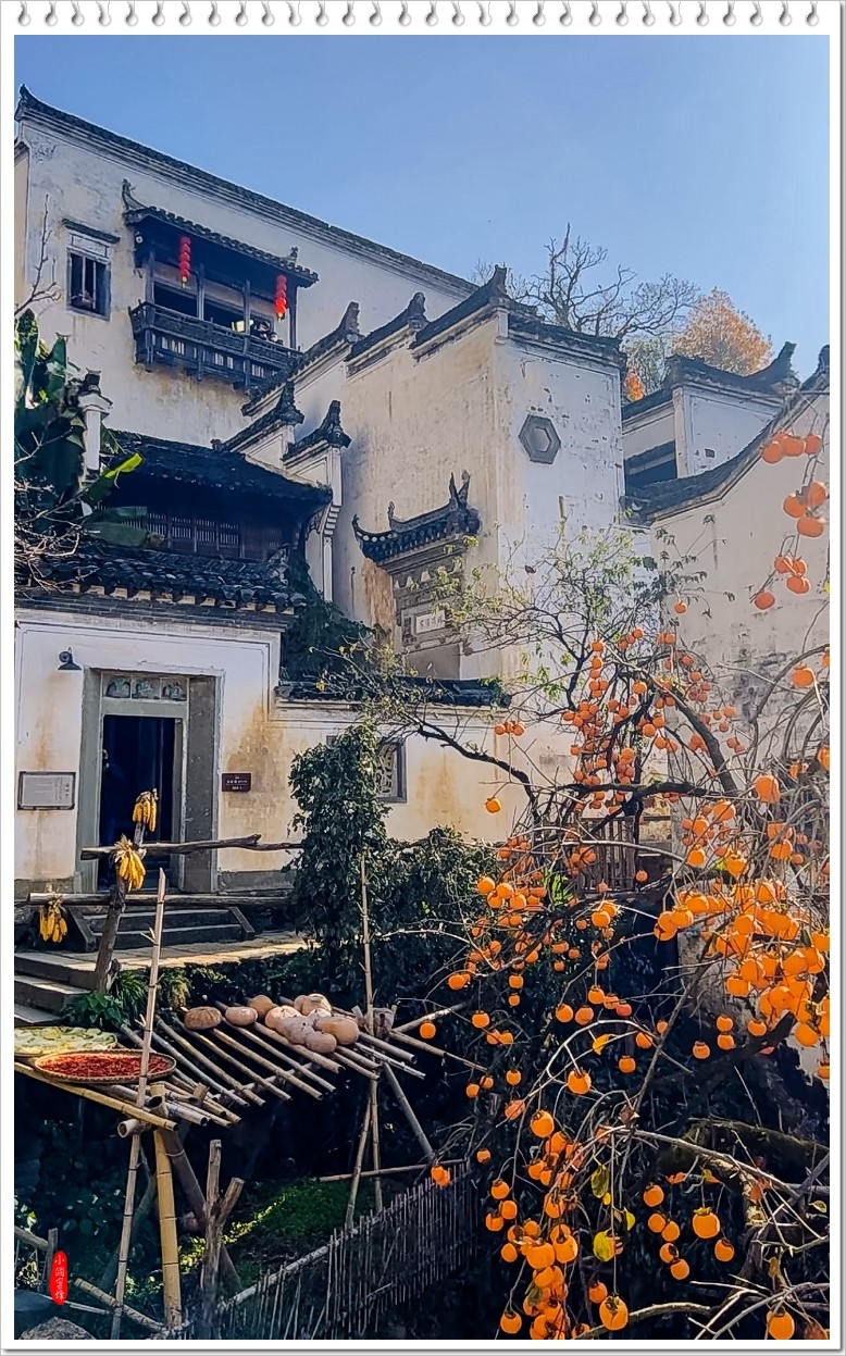 2023年-婺源篁岭抓拍-656