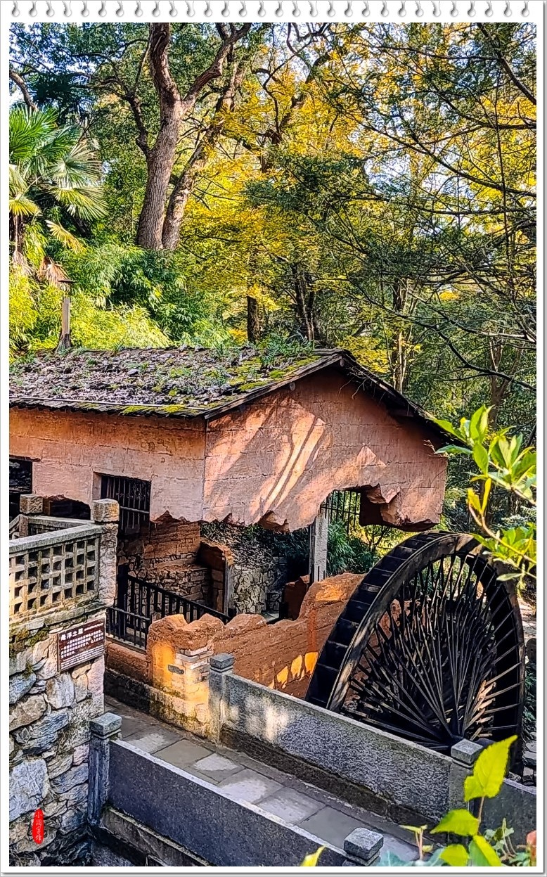 2023年-婺源篁岭抓拍-656