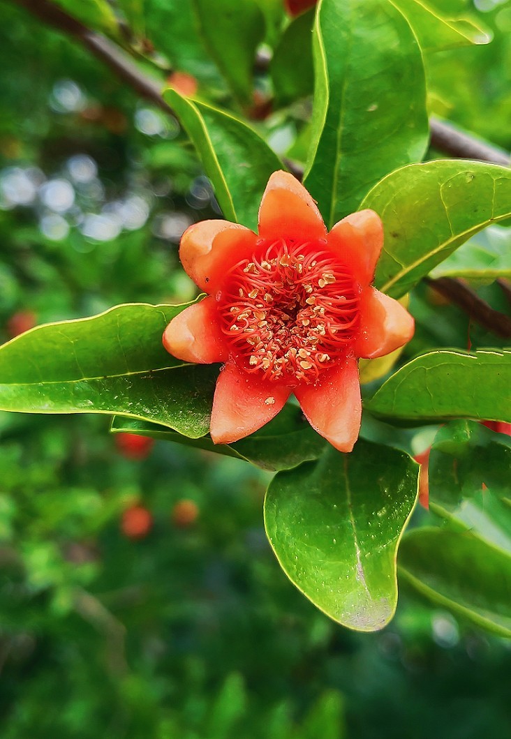 古人晕不会《抓拍美女》就不叫摄影！这是那个古人说的来？这里都不懂历史对吧！