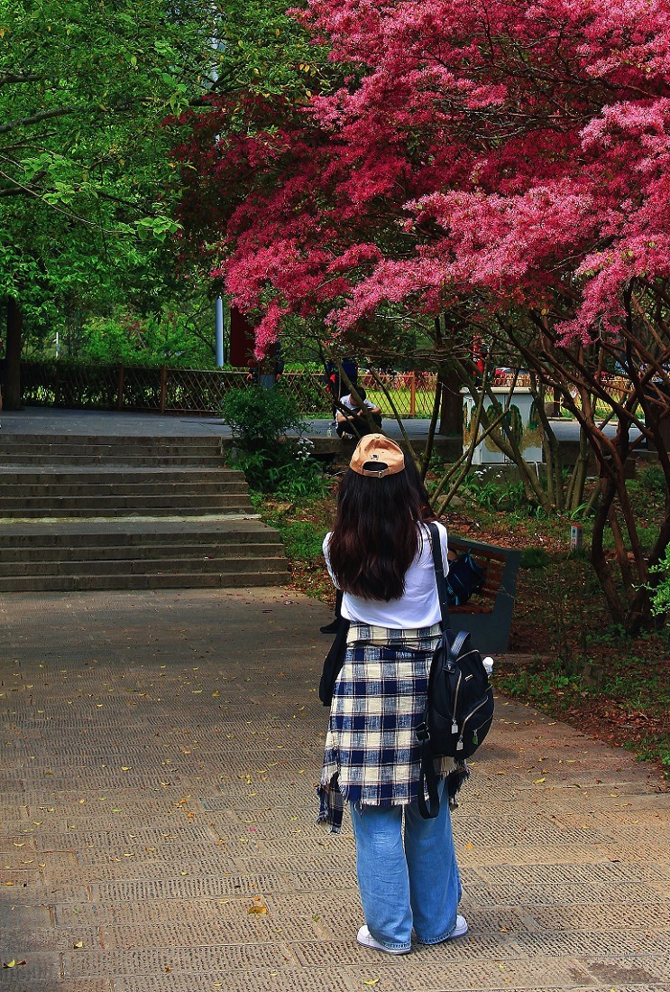 古人晕不会《抓拍美女》就不叫摄影！这是那个古人说的来？这里都不懂历史对吧！