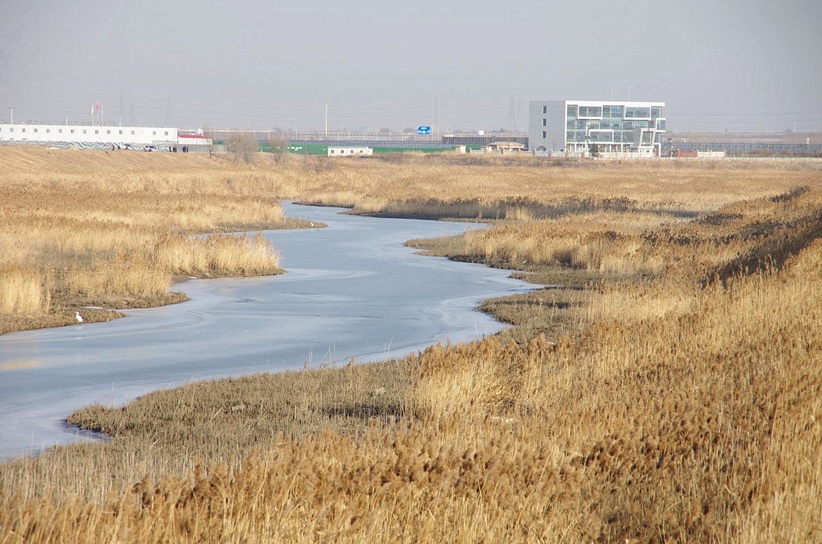 恭祝师友们2024元旦快乐-15P