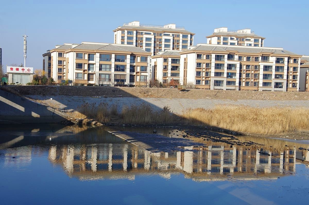 恭祝师友们2024元旦快乐-15P