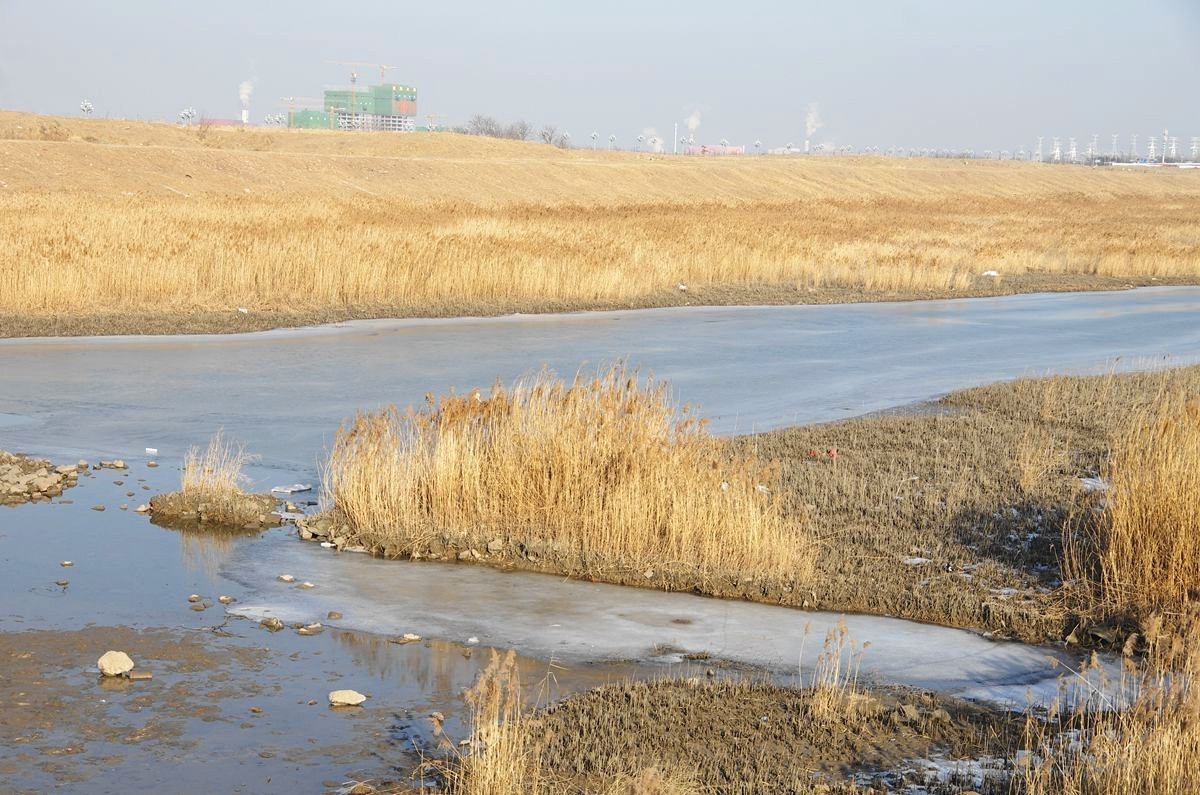 恭祝师友们2024元旦快乐-15P