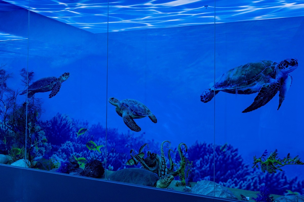 广东中药博物馆（15）