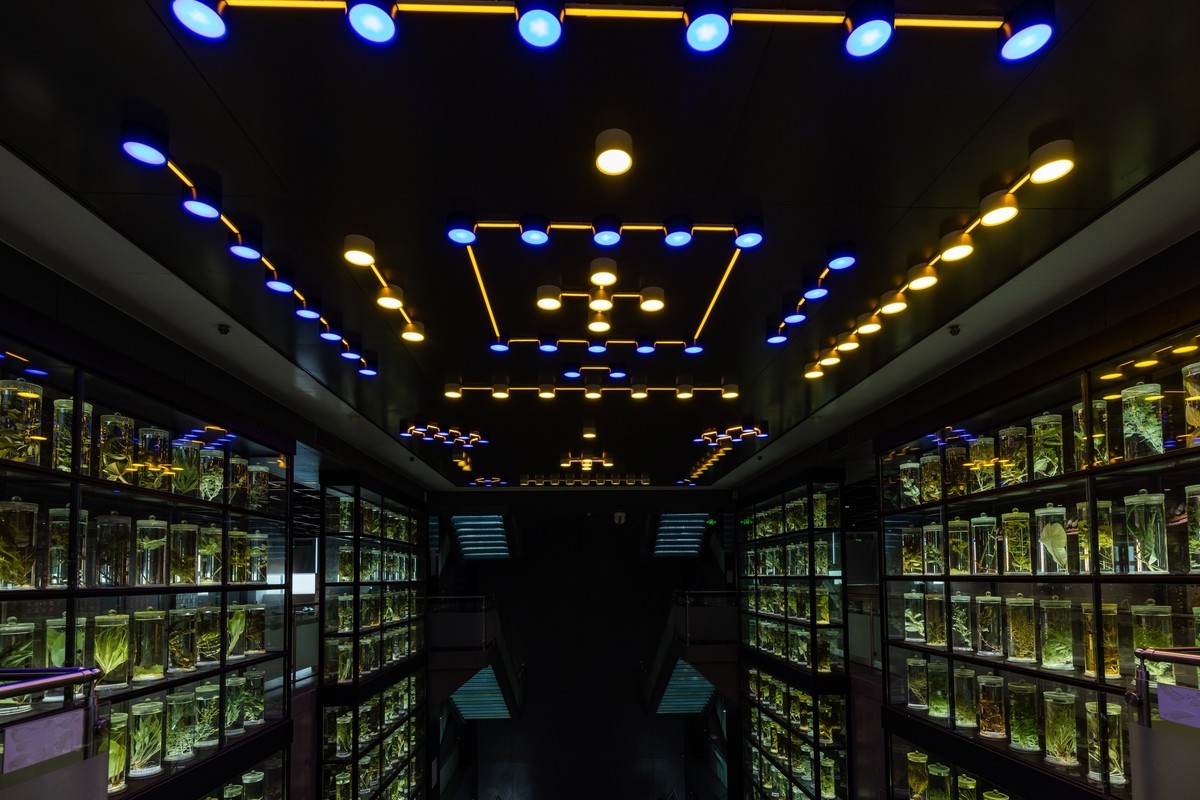 广东中药博物馆（15）