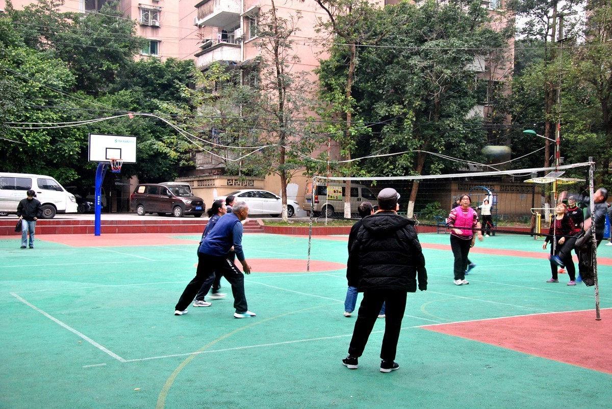 南湖公园冬景(一)