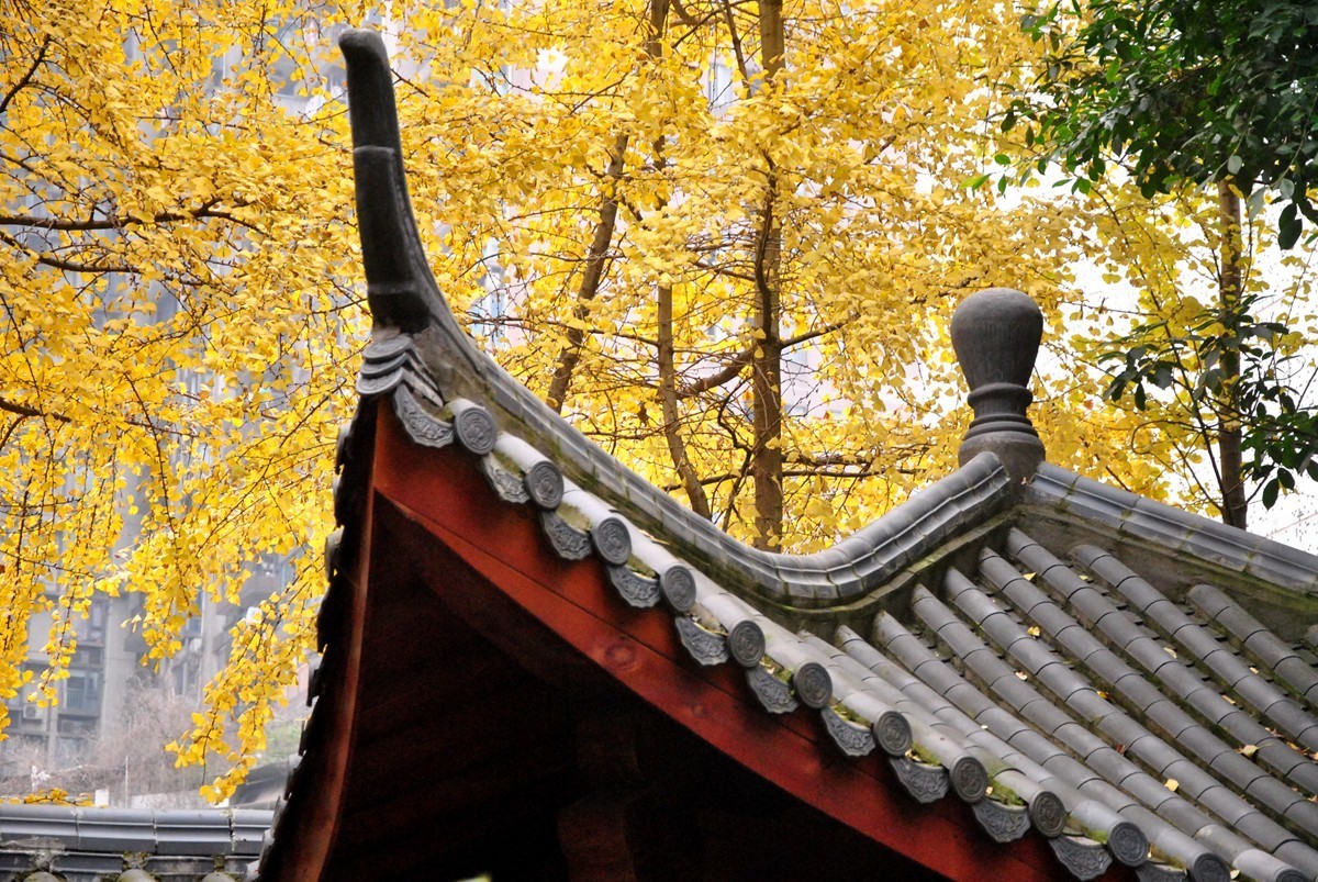 南湖公园冬景(一)