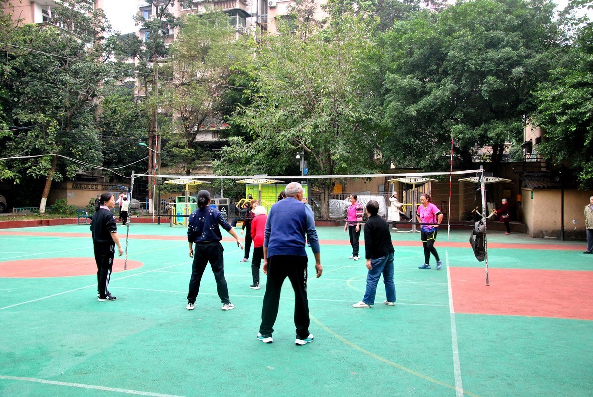 南湖公园冬景(一)