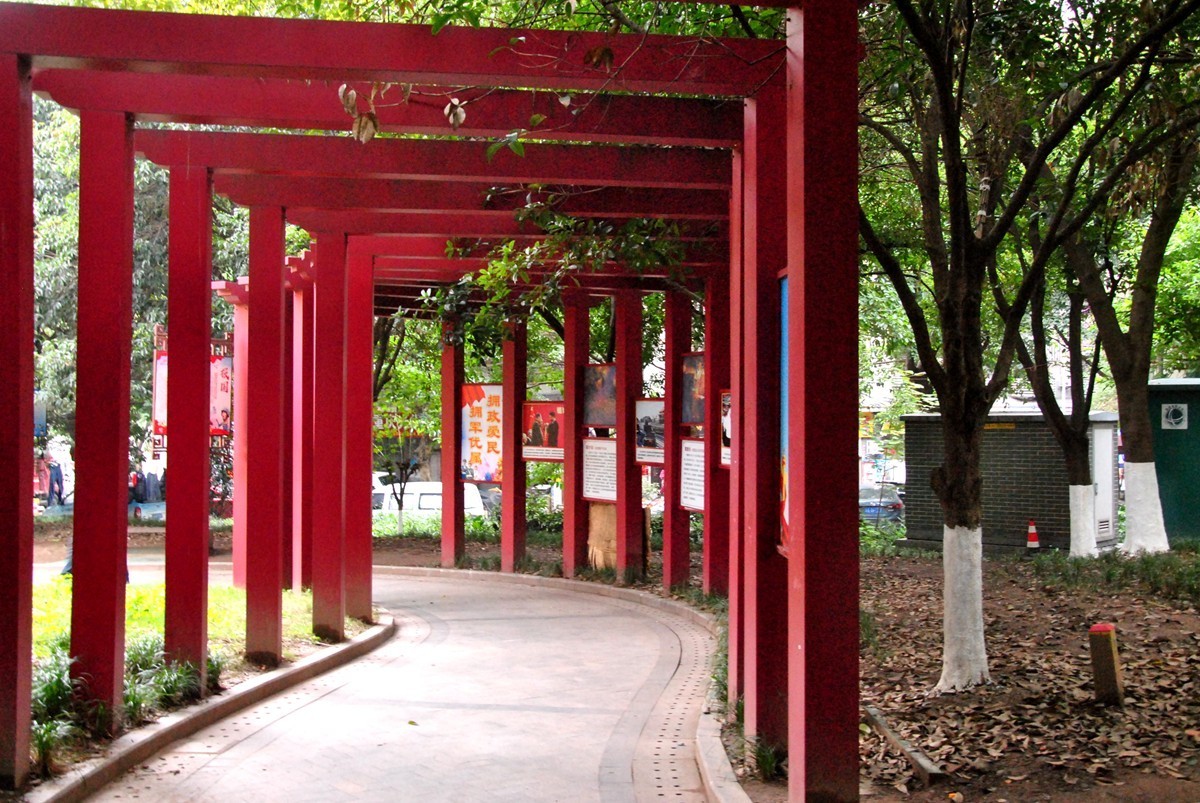 南湖公园冬景(一)