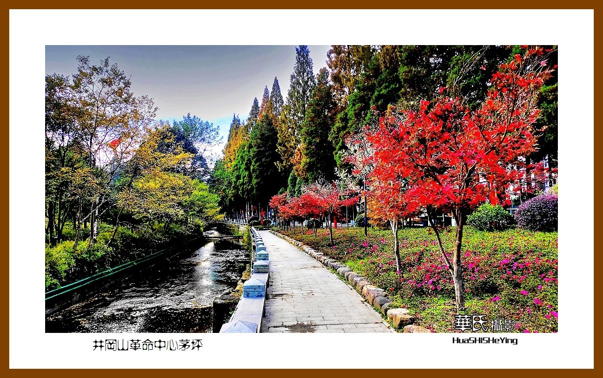 2021南行慢游江西088—井冈山革命中心茅坪（吉安市）