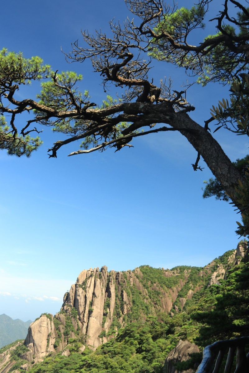 东南五省游之二十一——三清山顶部分风光