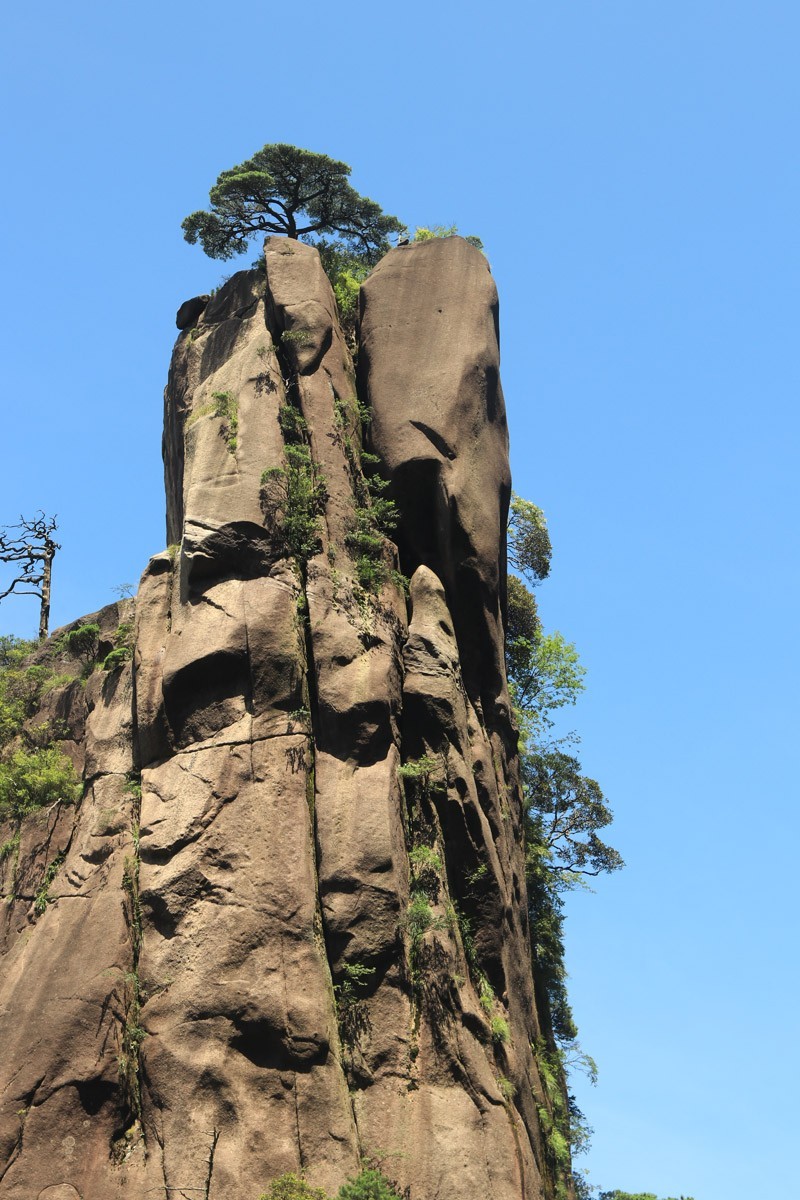 东南五省游之二十一——三清山顶部分风光