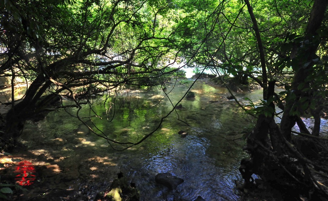 翡翠般的荔波小七孔                /周鸣天