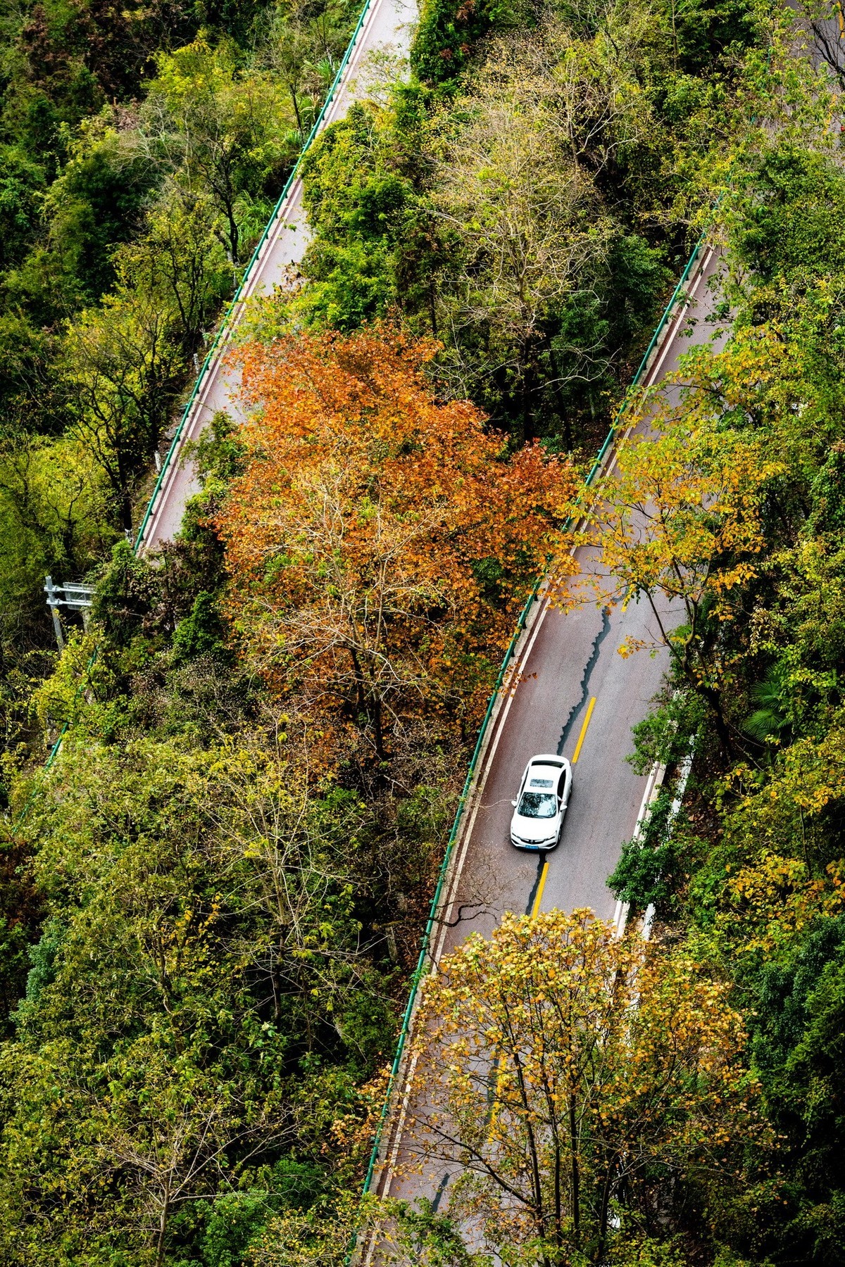 公路奇观---湘西矮寨公路