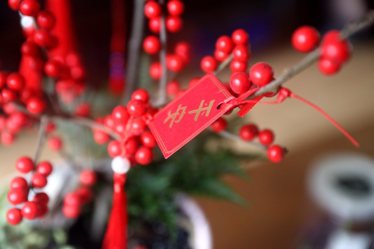 祝你2024平安、美好、吉星高照、梦想成真