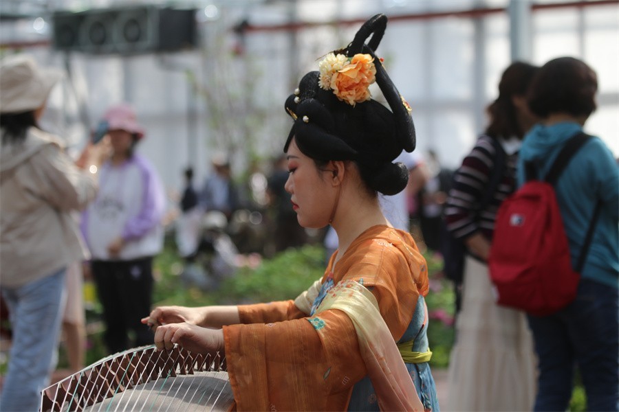 牡丹相约迎嘉宾武皇巡游千人醉洛阳