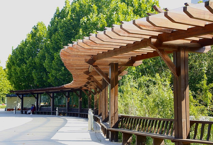 《不老松：纪实摄影》大美沧州系列報道：〕狮城公园！ (04)