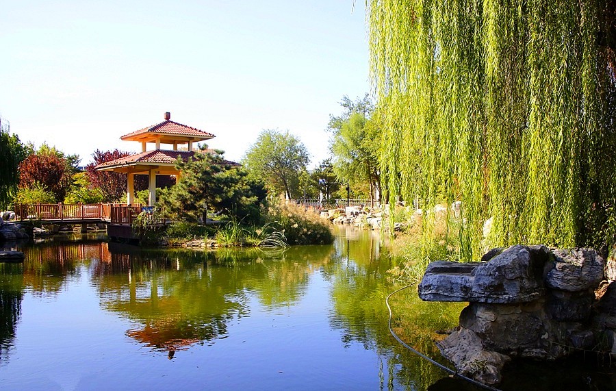 《不老松：纪实摄影》大美沧州系列報道：〕狮城公园！ (04)