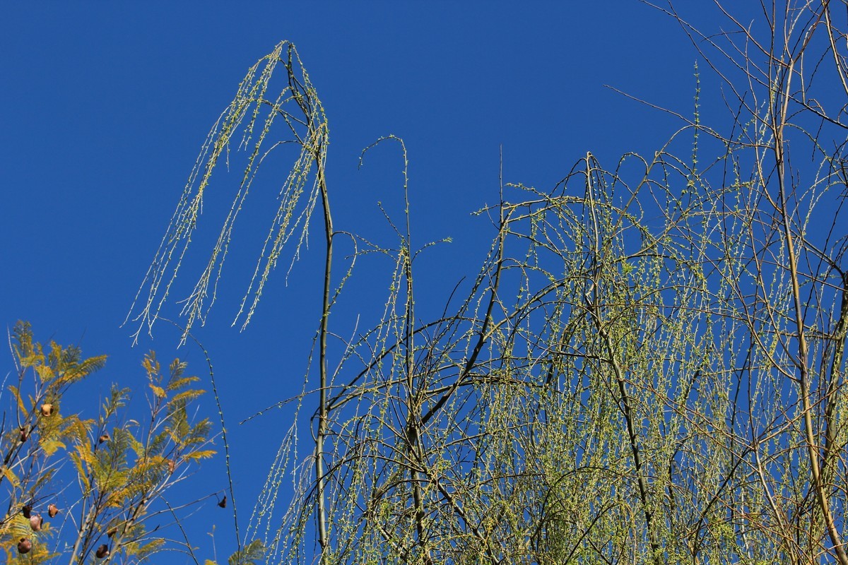 随拍一178